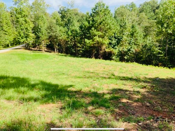 Lot 33 Woodgate Shores Dr: Lot 33 Woodgate Shores Dr, Wedowee, AL 36278